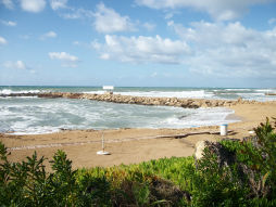 view of the coast