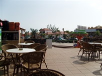 Holiday scene